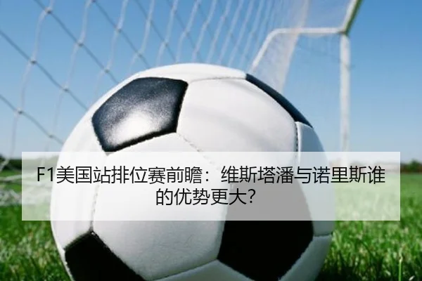 F1美国站排位赛前瞻：维斯塔潘与诺里斯谁的优势更大？
