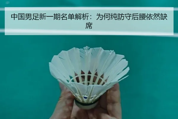 中国男足新一期名单解析：为何纯防守后腰依然缺席